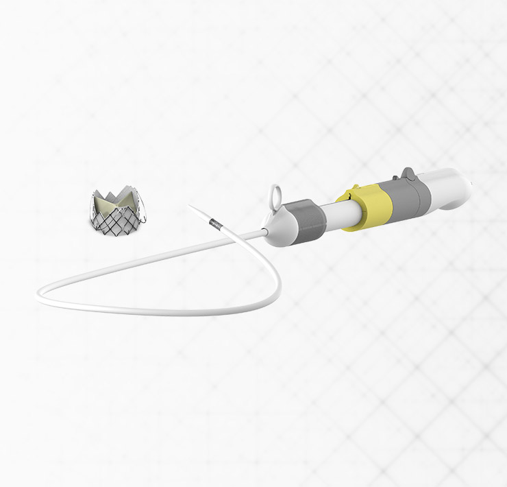 About the JC Medical J-Valve™ Transfemoral (TF) System