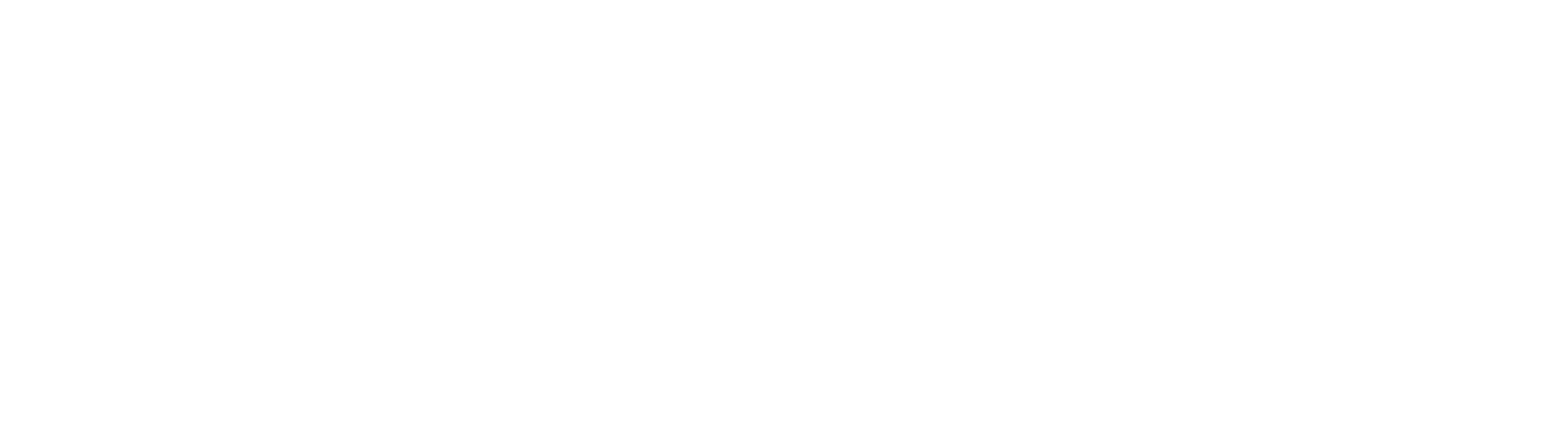 JC Medical – J·Valve™ TAVR System Logo